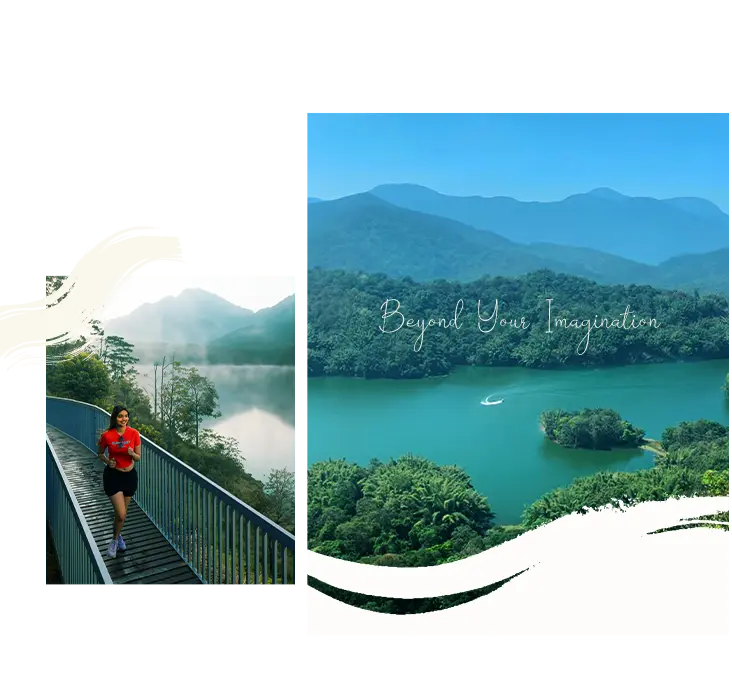 Ragamaya Resort Munnar