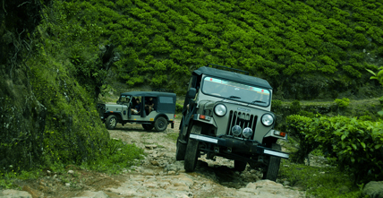 Local Community Excursion