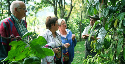 Munnar spice plantations