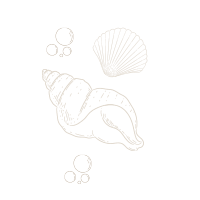  Munnar Accommodation 